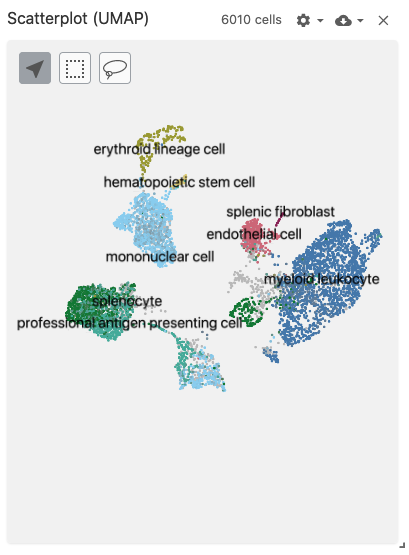 Screenshot of Scatterplot View