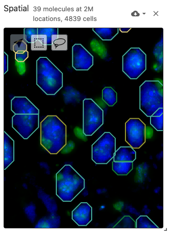 Screenshot of Spatial View