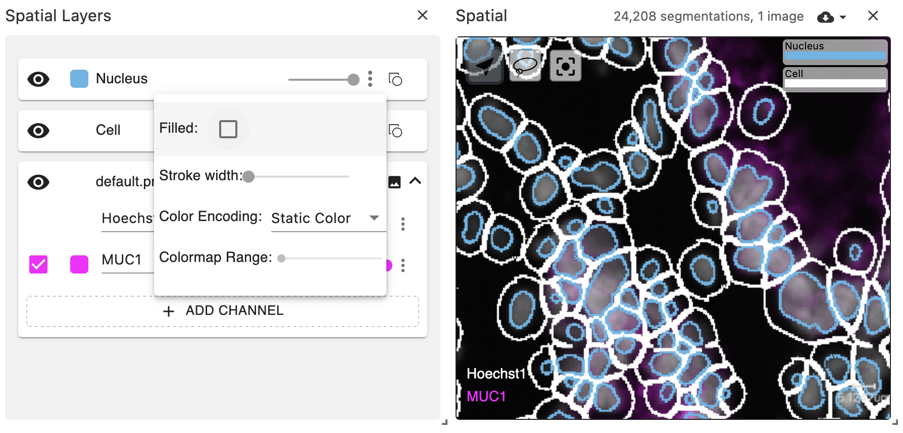 Filled and stroked ("boundaries") cell segmentations