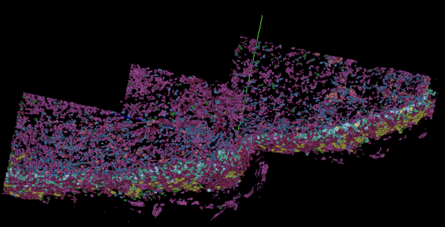 Screenshot of Neuroglancer view